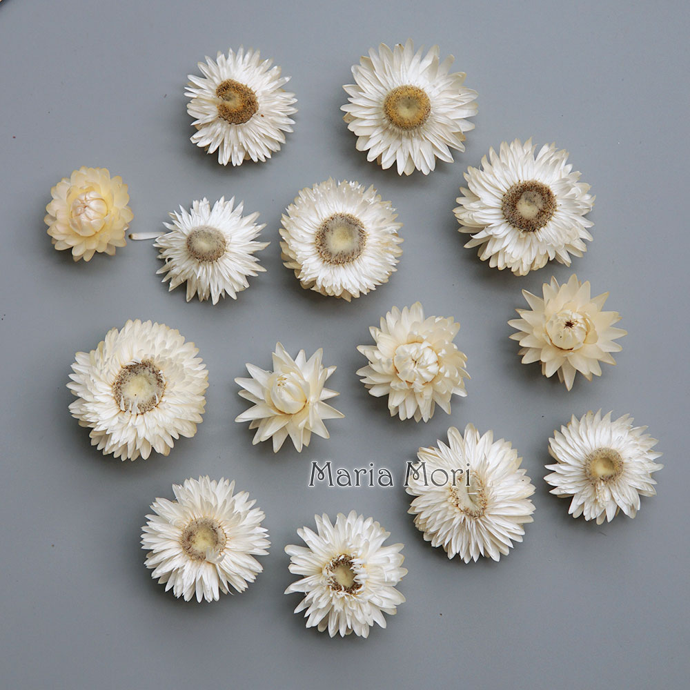Baby Product - Natürlicher getrockneter bunter Chrysanthemenkranz, handgefertigter Haarschmuck,